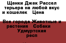 Щенки Джек Рассел терьера на любой вкус и кошелек › Цена ­ 13 000 - Все города Животные и растения » Собаки   . Удмуртская респ.,Ижевск г.